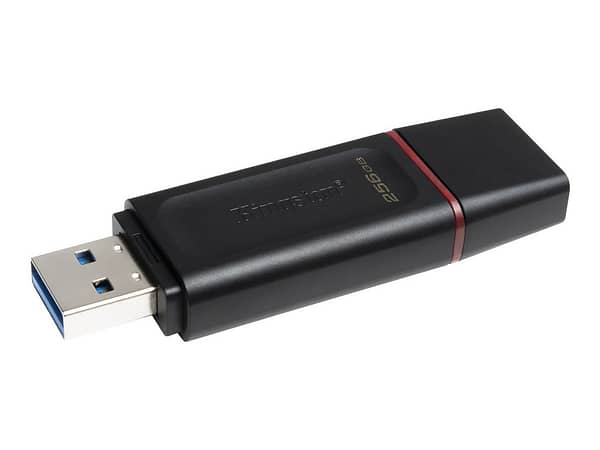 KINGSTON 256Go USB3.2 Gen1 DT Bk+Pink
